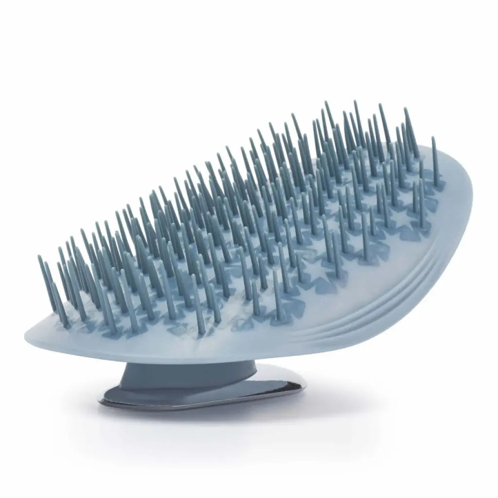 Manta Mirror Blue Brush