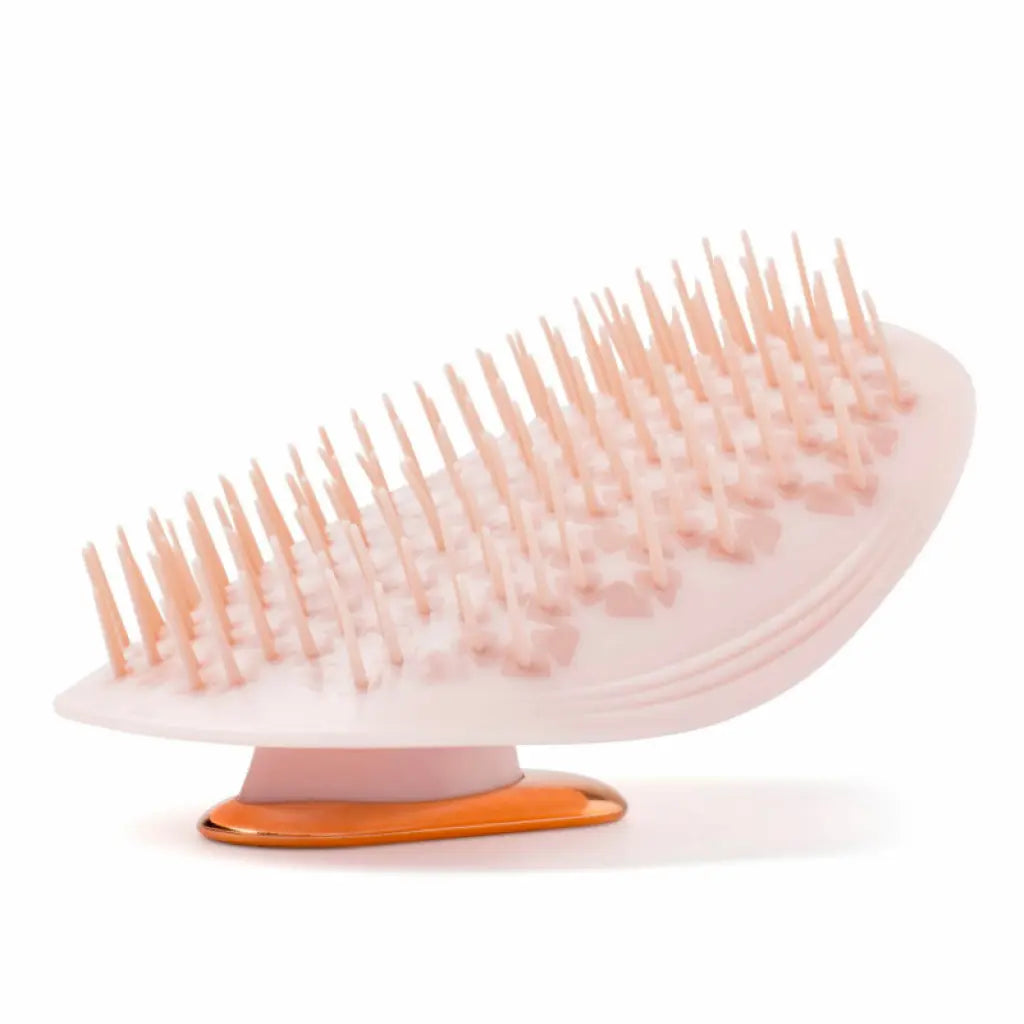 Manta Pink Brush